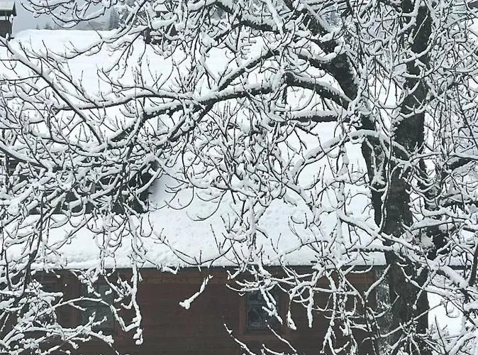 Wasserfallweg 17 Apartment